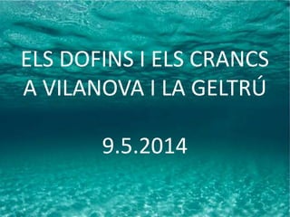 ELS DOFINS I ELS CRANCS
A VILANOVA I LA GELTRÚ
9.5.2014
 
