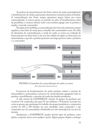 79
As práticas de aproveitamento das frutas nativas do sertão, principalmente
o beneficiamento do umbu, representam alternativas econômicas para as famílias.
A comercialização das frutas sempre apresentou preços baixos por serem
comercializadas in natura, apenas no período da safra. O beneficiamento, além
de possibilitar o consumo durante todo o ano, também agrega valor ao produto e
amplia o mercado consumidor.
Na região norte da Bahia,a comercialização dos frutos do umbuzeiro sempre
significou uma fonte de renda para as famílias das comunidades rurais. Por falta
de alternativa de comercialização, a venda do umbu in natura era realizada de
forma precária nas feiras livres e nas ruas das cidades da região, ou feita junto aos
atravessadores, o que faz o produto percorrer um longo percurso entre o produtor
e o consumidor.
FIGURA 6: Caminhos da comercialização do umbu in natura
Fonte: Rede Sabor Natural do Sertão
O processo de beneficiamento do umbu permitiu reduzir o número de
intermediários e potencializar o processo de comercialização, agregando valor ao
produto e possibilitando o aumento da renda das famílias produtoras.
A rede interna da COOPERCUC articula 16 grupos de produção que
envolvem 141 cooperados, dos quais 91 são mulheres e 50 homens. Levando em
conta as pessoas que participam do trabalho dos grupos produtivos, a cooperativa
envolve de 250 a 350 famílias em suas atividades, entre cooperados e não
cooperados, nas 16 comunidades, distribuídas nos três municípios de sua área de
atuação.
Atualmente, a COOPERCUC produz dezoito tipos de produtos, como
geleias, compotas, doces, sucos, polpas e picles. Alguns grupos chegam a entregar
 