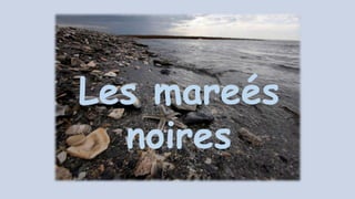 Les mareés
noires
 
