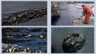 Por une vie meilleur