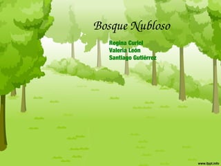 Bosque Nubloso
Regina Curiel
Valeria León
Santiago Gutiérrez