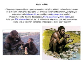 Homo Habilis   Clásicamente se consideran como perteneciente al género  Homo  los homínidos capaces de elaborar herramientas de piedra. Las primeras herramientas eran muy simples y se encuadran en la  industria lítica  conocida como  Olduvayense  o Modo 1.  De esta fase se ha descrito dos especies,  Homo rudolfensis  y  Homo habilis , que habitaron  África Oriental  entre 2,5 y 1,8 millones de años atrás, que a veces se reúnen en una sola. El volumen craneal de estas especies oscila 650 y 800 cm³. 