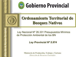 Ordenamiento Territorial de Bosques Nativos Ley Provincial Nº 5.974 Ley Nacional Nº 26.331 Presupuestos Mínimos de Protección Ambiental de los BN  Ministerio de Producción, Trabajo y Turismo Dirección de Recursos Forestales 