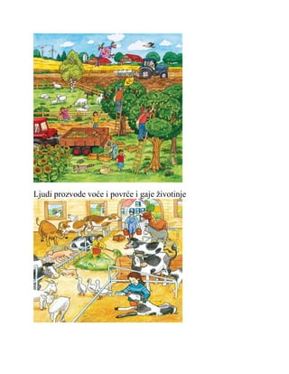 Ljudi prozvode voće i povrće i gaje životinje
 