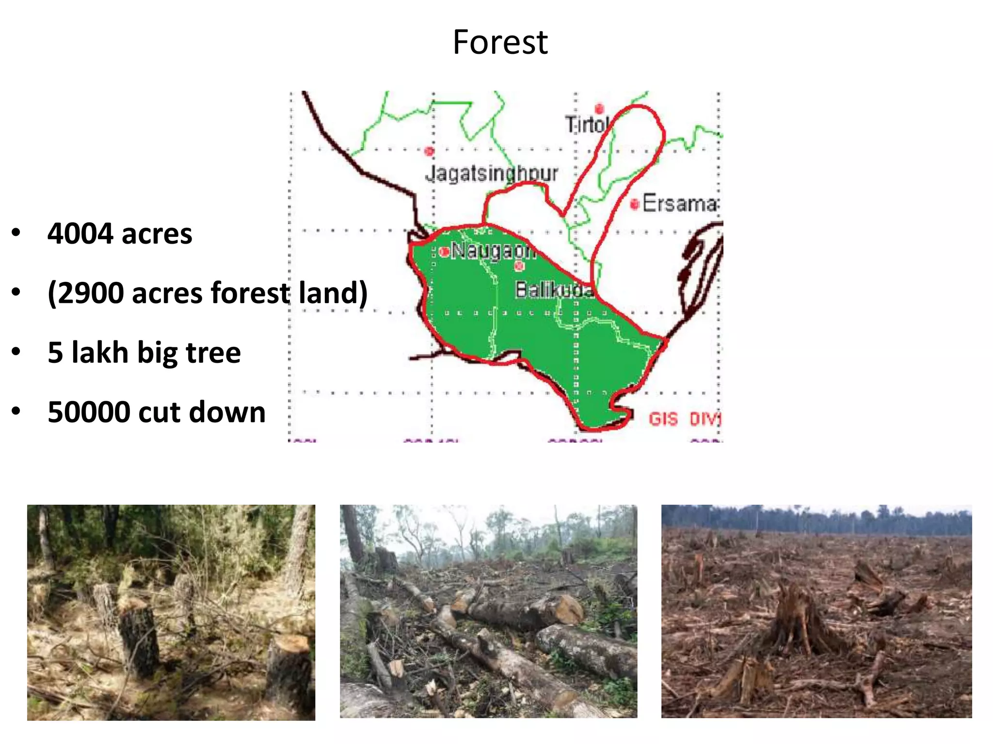 Forest
• 4004 acres
• (2900 acres forest land)
• 5 lakh big tree
• 50000 cut down
 