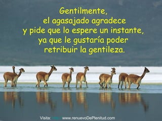 Gentilmente,
el agasajado agradece
y pide que lo espere un instante,
ya que le gustaría poder
retribuir la gentileza.
Visita: http://www.renuevoDePlenitud.com
 