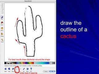 draw the
outline of a
cactus
 