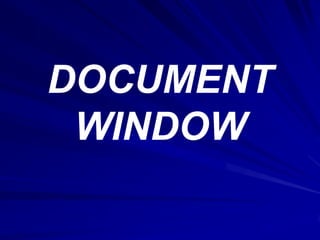 DOCUMENT
 WINDOW
 