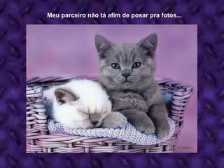 Meu parceiro não tá afim de posar pra fotos... 