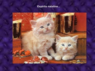 Espírito natalino... 