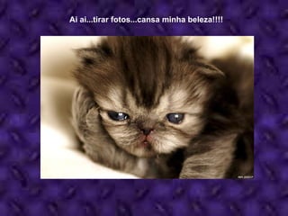 Ai ai...tirar fotos...cansa minha beleza!!!! 