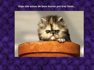 Hoje não estou de bom humor pra tirar fotos... 