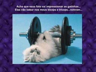 Acho que essa foto vai impressionar as gatinhas... Elas vão babar nos meus bíceps e tríceps...romrom... 