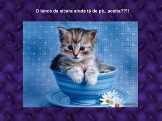 O lance da xícara ainda tá de pé...aceita??!! 