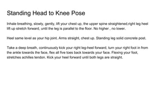 Standing Head to Knee Pose
Inhale breathing, slowly, gently, lift your chest up, the upper spine straightened,right leg heel
lift up stretch forward, until the leg is parallel to the floor. No higher , no lower.
Heel same level as your hip joint. Arms straight, chest up. Standing leg solid concrete post.
Take a deep breath, continuously kick your right leg-heel forward, turn your right foot in from
the ankle towards the face, flex all five toes back towards your face. Flexing your foot,
stretches achilles tendon. Kick your heel forward until both legs are straight.
 