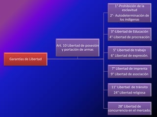 1°-Prohibición de la esclavitud2°- Autodeterminación de los indígenas3°-Libertad de Educación4°-Libertad de procreaciónArt. 10 Libertad de posesión y portación de armas5° Libertad de trabajo6° Libertad de expresión.Garantías de Libertad7° Libertad de imprenta9° Libertad de asociación 11° Libertad  de tránsito24° Libertad religiosa28° Libertad de concurrencia en el mercado.
