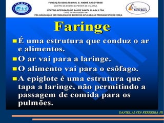 DANIEL ALVES FERREIRA JR
 