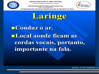 DANIEL ALVES FERREIRA JR
 