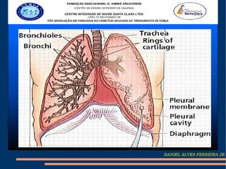DANIEL ALVES FERREIRA JR
 