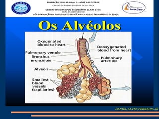 DANIEL ALVES FERREIRA JR
 