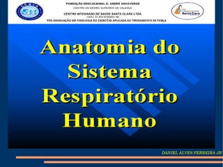 DANIEL ALVES FERREIRA JR
 