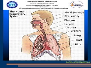 DANIEL ALVES FERREIRA JR
 