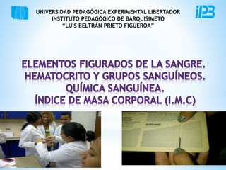UNIVERSIDAD PEDAGÓGICA EXPERIMENTAL LIBERTADOR 
INSTITUTO PEDAGÓGICO DE BARQUISIMETO 
“LUIS BELTRÁN PRIETO FIGUEROA” 
 