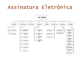 Assinatura Eletrônica 