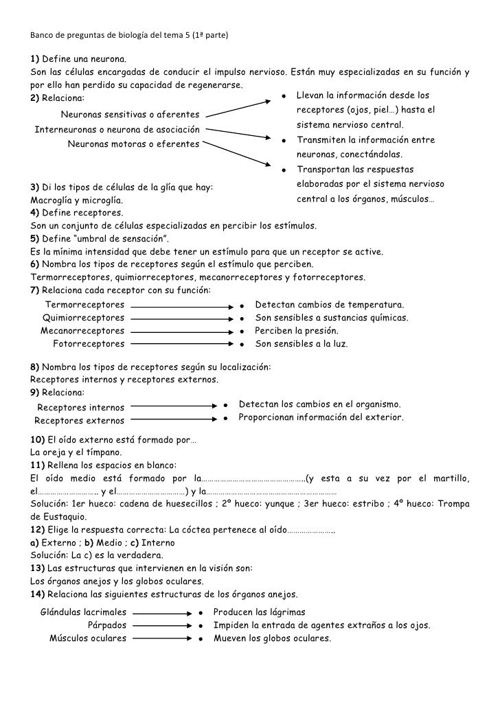 preguntas tipo icfes sobre historia universal posibles preguntas para el examen de biolog 237 a del tema 5 preguntas tipo icfes sobre historia universal posibles preguntas para el examen de biolog 237 a del tema 5