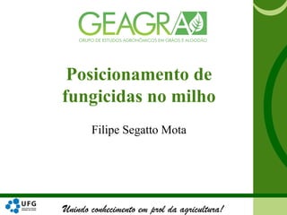 Unindo conhecimento em prol da agricultura!
Posicionamento de
fungicidas no milho
Filipe Segatto Mota
 