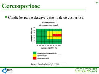 Cercosporiose
16
Condições para o desenvolvimento da cercosporiose:
Fonte: Fundação ABC, 2011.
 