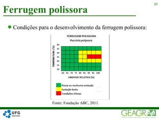 Ferrugem polissora
23
Condições para o desenvolvimento da ferrugem polissora:
Fonte: Fundação ABC, 2011.
 