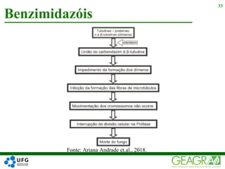 Benzimidazóis
33
Fonte: Ariana Andrade et.al., 2018.
 