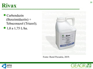 Carbendazin
(Benzimidazóis) +
Tebuconazol (Triazol);
1,0 a 1,75 L/ha.
Rivax
35
Fonte: Rural Pecuária, 2019.
 