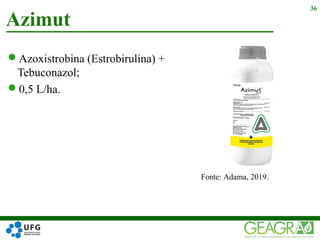 Azoxistrobina (Estrobirulina) +
Tebuconazol;
0,5 L/ha.
Azimut
36
Fonte: Adama, 2019.
 