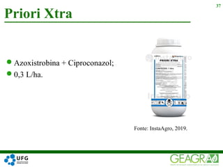 Azoxistrobina + Ciproconazol;
0,3 L/ha.
Priori Xtra
37
Fonte: InstaAgro, 2019.
 