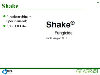 Piraclostrobina +
Epoxiconazol;
0,7 a 1,0 L/ha.
Shake
39
Fonte: Adapar, 2018.
 