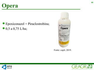 Epoxiconazol + Piraclostrobina;
0,5 a 0,75 L/ha;
Opera
40
Fonte: capil, 2019.
 