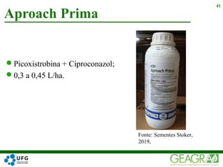 Picoxistrobina + Ciproconazol;
0,3 a 0,45 L/ha.
Aproach Prima
41
Fonte: Sementes Stoker,
2019,
 