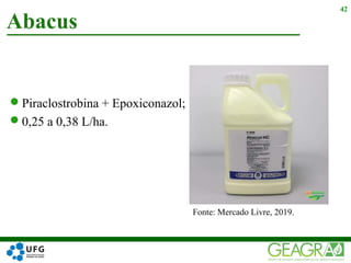 Piraclostrobina + Epoxiconazol;
0,25 a 0,38 L/ha.
Abacus
42
Fonte: Mercado Livre, 2019.
 