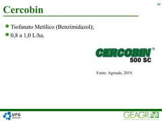 Tiofanato Metílico (Benzimidazol);
0,8 a 1,0 L/ha.
Cercobin
44
Fonte: Agroads, 2019.
 
