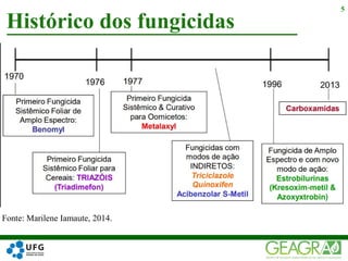 Histórico dos fungicidas
5
Fonte: Marilene Iamaute, 2014.
 
