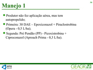 Produtor não fez aplicação aérea, mas tem
autopropelido;
Primeira: 30 DAE – Epoxiconazol + Piraclostrobina
(Opera - 0,5 L/ha);
Segunda: Pré Pendão (PP) - Picoxistrobina +
Ciproconazol (Aproach Prima - 0,3 L/ha).
Manejo 1
50
 