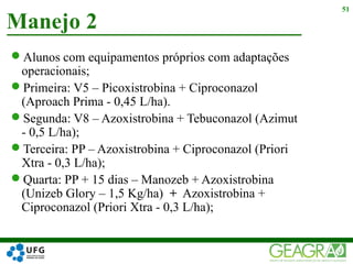 Alunos com equipamentos próprios com adaptações
operacionais;
Primeira: V5 – Picoxistrobina + Ciproconazol
(Aproach Prima - 0,45 L/ha).
Segunda: V8 – Azoxistrobina + Tebuconazol (Azimut
- 0,5 L/ha);
Terceira: PP – Azoxistrobina + Ciproconazol (Priori
Xtra - 0,3 L/ha);
Quarta: PP + 15 dias – Manozeb + Azoxistrobina
(Unizeb Glory – 1,5 Kg/ha) + Azoxistrobina +
Ciproconazol (Priori Xtra - 0,3 L/ha);
Manejo 2
51
 