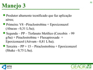 Produtor altamente tecnificado que faz aplicação
aérea;
Primeira: V8 –Piraclostrobina + Epoxiconazol
(Abacus - 0,31 L/ha);
Segunda – PP – Tiofanato Metílico (Cercobin - 99
g/ha) + Piraclostrobina + Fluxapiroxade +
Epoxiconazol (Ativum - 0,81 L/ha);
Terceira – PP + 15 – Piraclostrobina + Epoxiconazol
(Shake - 0,75 L/ha).
Manejo 3
52
 
