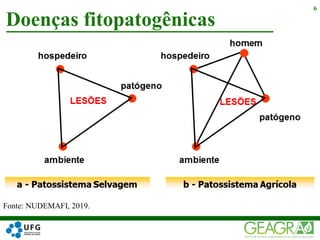 Doenças fitopatogênicas
6
Fonte: NUDEMAFI, 2019.
 