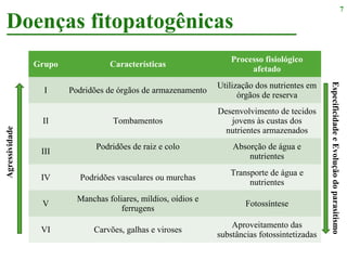 Doenças fitopatogênicas
7
Grupo Características
Processo fisiológico
afetado
I Podridões de órgãos de armazenamento
Utilização dos nutrientes em
órgãos de reserva
II Tombamentos
Desenvolvimento de tecidos
jovens às custas dos
nutrientes armazenados
III
Podridões de raiz e colo Absorção de água e
nutrientes
IV Podridões vasculares ou murchas
Transporte de água e
nutrientes
V
Manchas foliares, míldios, oídios e
ferrugens
Fotossíntese
VI Carvões, galhas e viroses
Aproveitamento das
substâncias fotossintetizadas
Agressividade
EspecificidadeeEvoluçãodoparasitismo
 