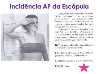 Incidência AP da Escápula2