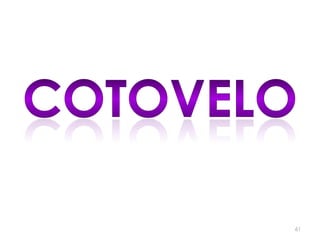 cotovelo61