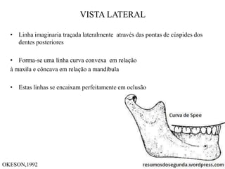 VISTA LATERAL
• Linha imaginaria traçada lateralmente através das pontas de cúspides dos
dentes posteriores
• Forma-se uma linha curva convexa em relação
à maxila e côncava em relação a mandibula
• Estas linhas se encaixam perfeitamente em oclusão
OKESON,1992
 